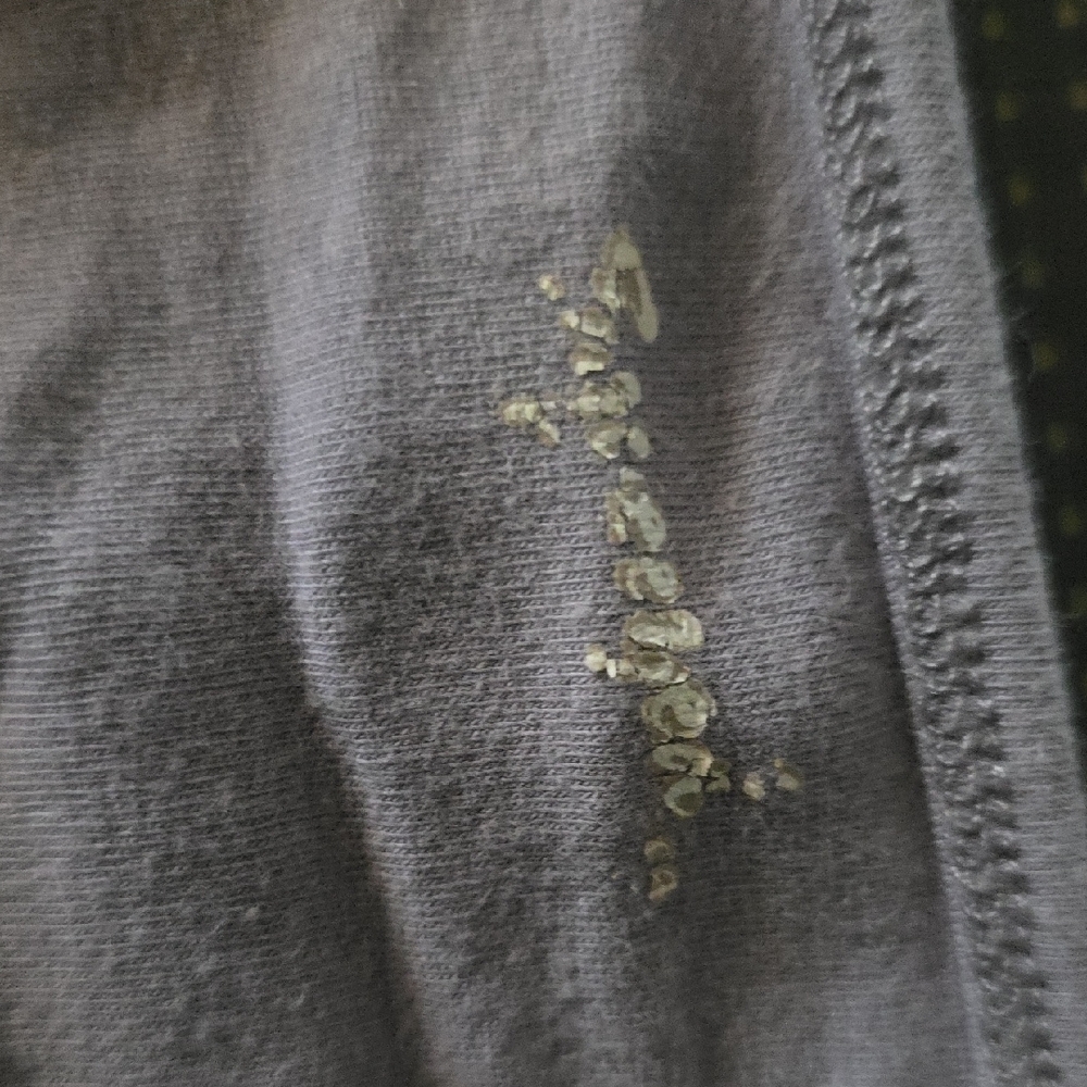 Gray T-Shirt with Gold Logo